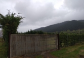 Sòl urbà en venda a la España, Santurde de Rioja, ref.: TR53294 foto