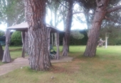 Finca rústica en venta en Santo Domingo de la Calzada ref: TR29854 foto
