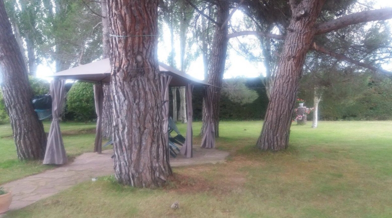 La Rioja - Santo Domingo de la Calzada - 2500m2