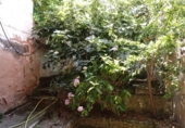Casa de poble en venda a la España, Santo Domingo de la Calzada, ref.: TR56832 foto