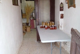 Foto 7