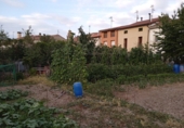 Chalet independiente con terreno en venta en la España, Santo Domingo de la Calzada, ref: TR81510 foto