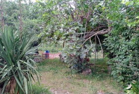 Foto 15