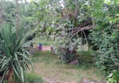 Chalet independiente con terreno en venta en la España, Santo Domingo de la Calzada, ref: TR81510 foto