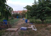 Chalet independiente con terreno en venta en la España, Santo Domingo de la Calzada, ref: TR81510 foto