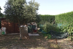 Foto 13