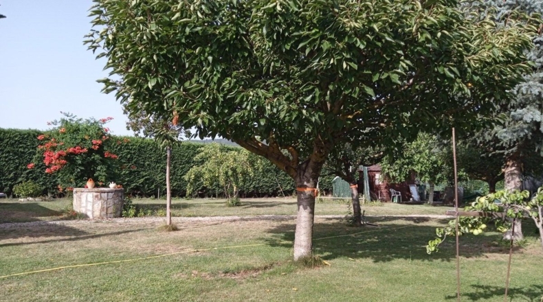 La Rioja - Santurdejo - 1653m2