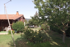 Foto 19