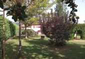 Finca rústica en venda a Santurdejo ref.: TR89464 foto