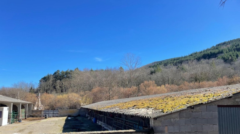 La Rioja - Valgañón - 3859m2