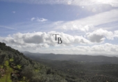 Finca rústica en venta en la España, Cañaveral de León, ref: TR285109 foto