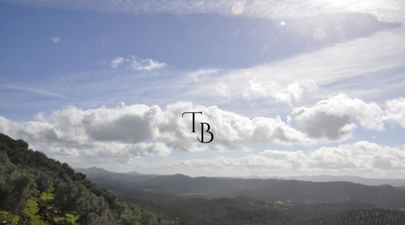 Huelva - Cañaveral de León - 2717m2