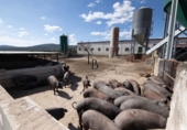Finca rústica en venta en la España, Cañaveral de León, ref: TR285109 foto