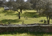 Finca rústica en venta en la España, Cañaveral de León, ref: TR285109 foto