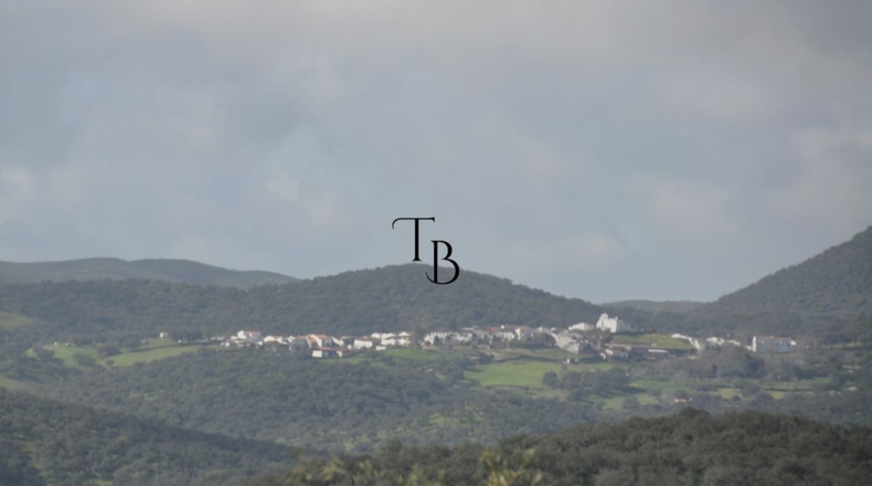 Huelva - Cañaveral de León - 2717m2