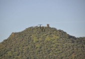 Finca rústica en venta en la España, Cañaveral de León, ref: TR285109 foto