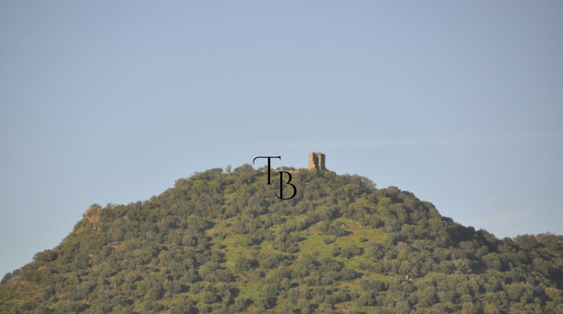Huelva - Cañaveral de León - 2717m2