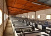 Finca rústica en venta en la España, Cañaveral de León, ref: TR285109 foto