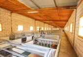 Finca rústica en venta en la España, Cañaveral de León, ref: TR285109 foto