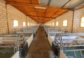 Finca rústica en venta en la España, Cañaveral de León, ref: TR285109 foto