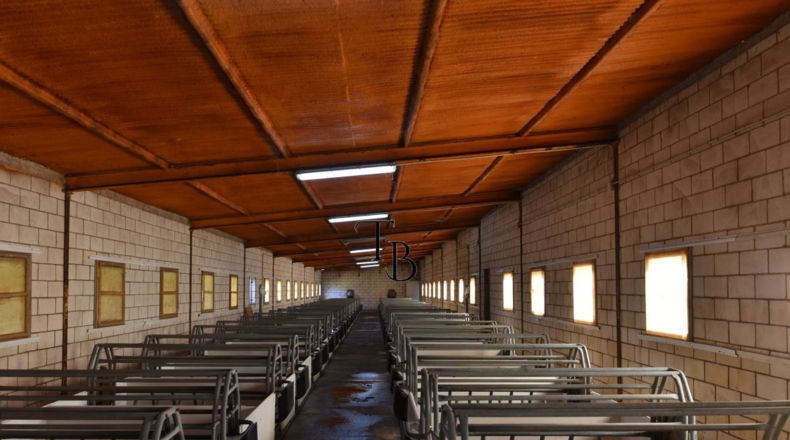 Huelva - Cañaveral de León - 2717m2