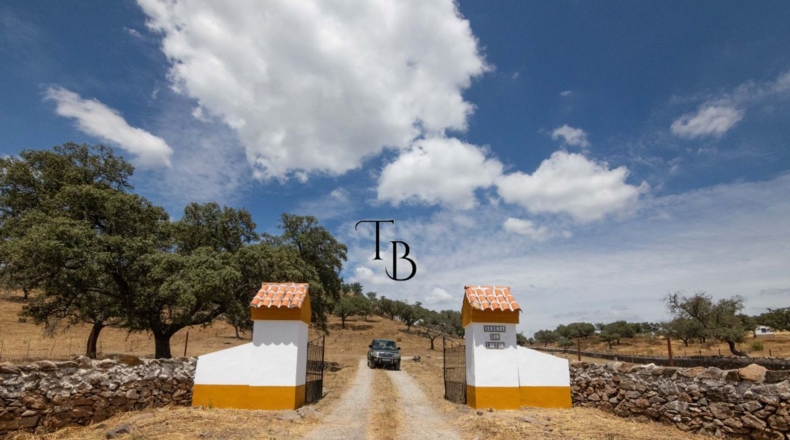 Huelva - Cañaveral de León - 2717m2