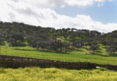 Finca rústica en venta en la España, Cañaveral de León, ref: TR285109 foto