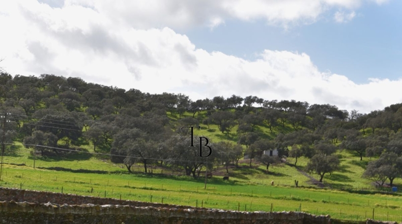 Huelva - Cañaveral de León - 2717m2