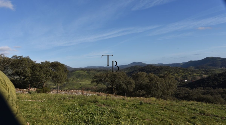 Huelva - Cañaveral de León - 2717m2