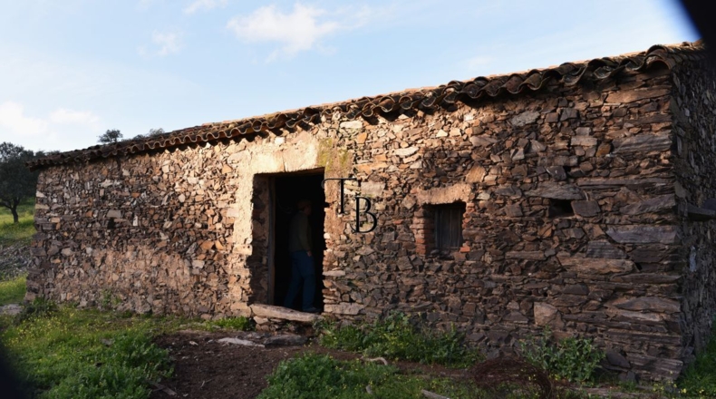Huelva - Cañaveral de León - 2717m2
