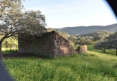 Finca rústica en venta en la España, Cañaveral de León, ref: TR285109 foto