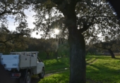 Finca rústica en venta en la España, Cañaveral de León, ref: TR285109 foto
