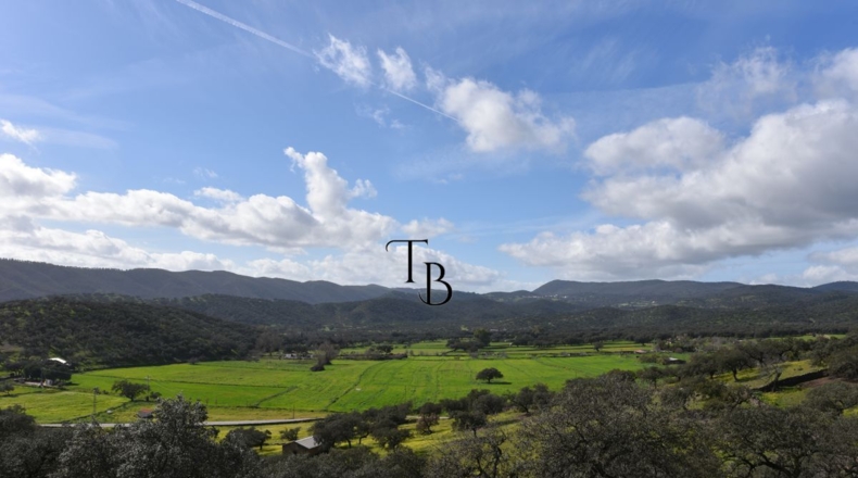 Huelva - Cañaveral de León - 2717m2