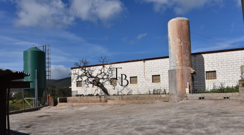 Huelva - Cañaveral de León - 2717m2