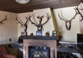 Finca rústica en venta en la España, Cañaveral de León, ref: TR285109 foto