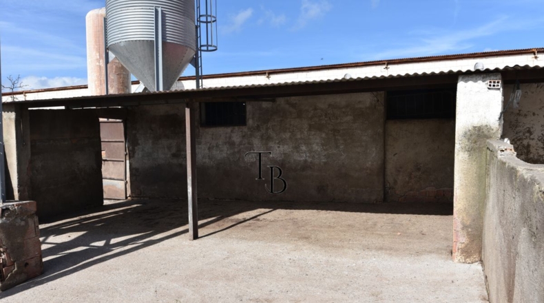 Huelva - Cañaveral de León - 2717m2