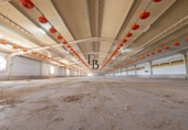 Finca rústica en venta en la España, Cañaveral de León, ref: TR285109 foto