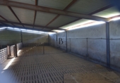 Finca rústica en venta en la España, Cañaveral de León, ref: TR285109 foto