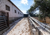 Finca rústica en venta en la España, Cañaveral de León, ref: TR285109 foto