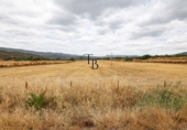 Terreno no urbanizable en venta en Cañaveral de León ref: TR186642 foto