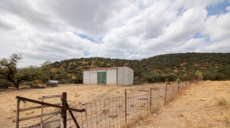 Huelva - Cañaveral de León - 306m2