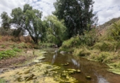 Finca rústica en venda a Cañaveral de León ref.: TR186645 foto