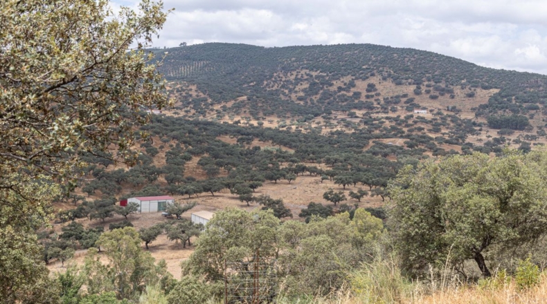 Huelva - Cañaveral de León - 306m2