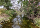 Finca rústica en venda a Cañaveral de León ref.: TR186645 foto