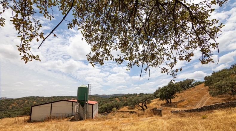 Huelva - Cañaveral de León - 306m2