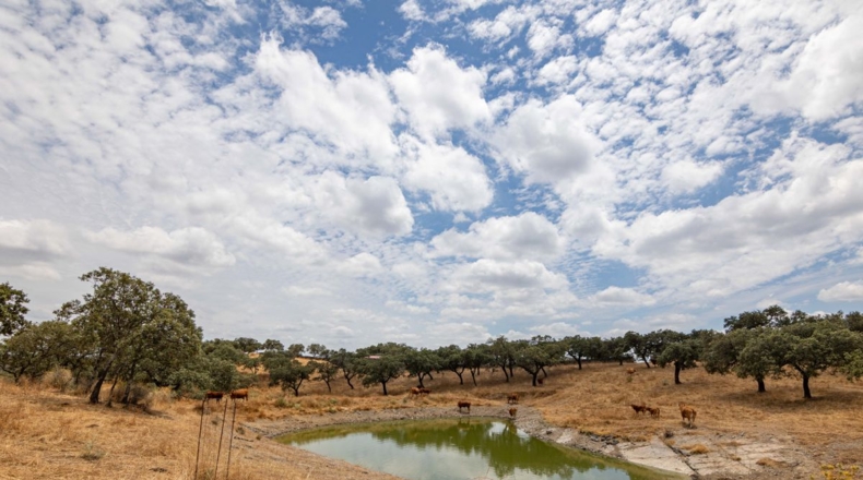 Huelva - Cañaveral de León - 306m2