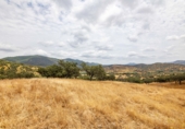 Finca rústica en venda a Cañaveral de León ref.: TR186645 foto