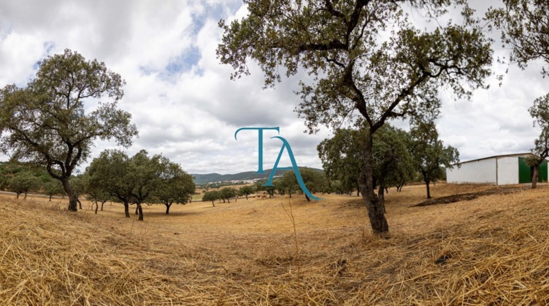 Huelva - Cañaveral de León - 528m2