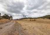 Finca rústica en venda a Cañaveral de León ref.: TR186640 foto