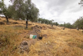 Cañaveral de León 10000&nbsp;m²